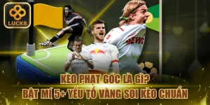 keo-phat-goc-la-gi-bat-mi-5-yeu-to-vang-soi-keo-chuan