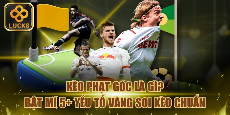 keo-phat-goc-la-gi-bat-mi-5-yeu-to-vang-soi-keo-chuan