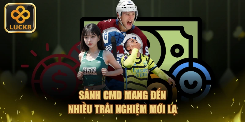Sảnh CMD368 mang đến nhiều trải nghiệm mới lạ